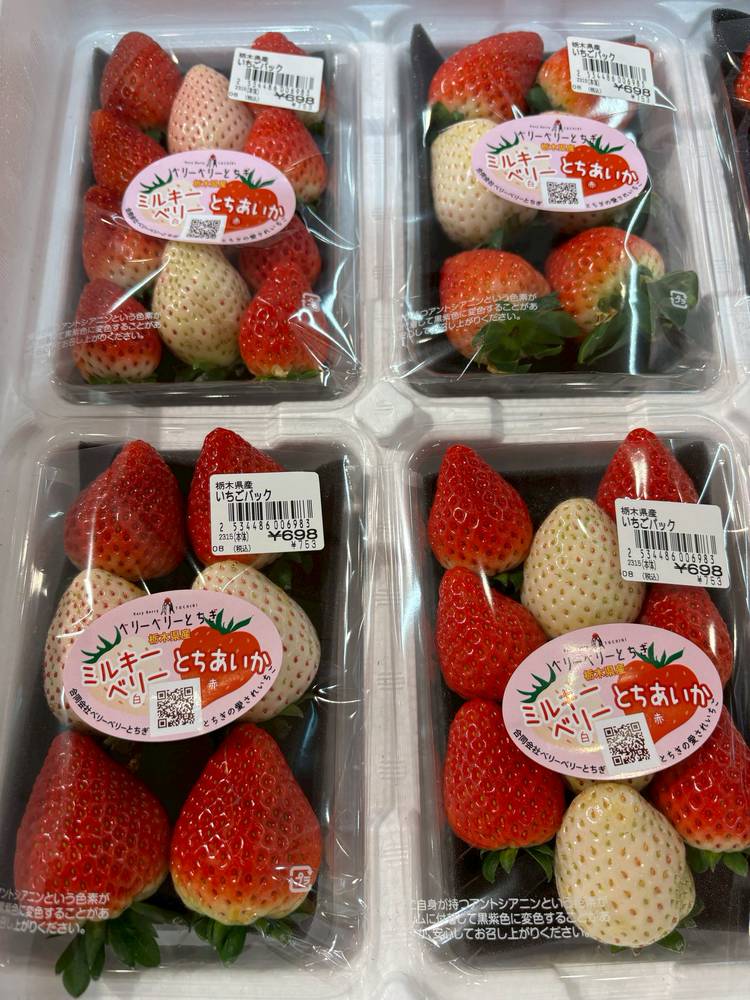 Mixed media feed | TRIAL 宇都宮店 | LINE Official Account