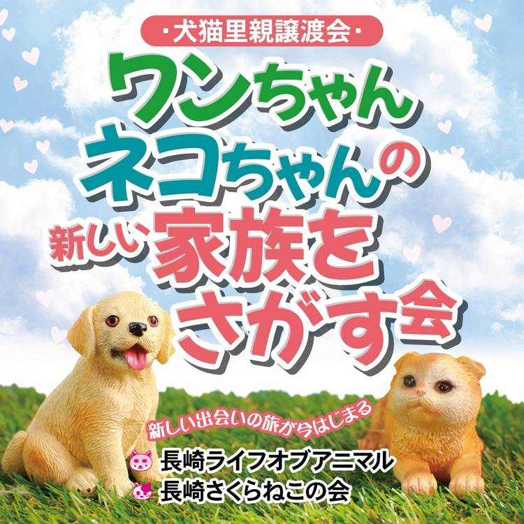 Mixed media feed | OKホーム＆ガーデン 深堀店 | LINE Official Account