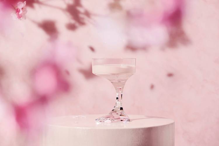 Mixed media feed | Baccarat | LINE Official Account