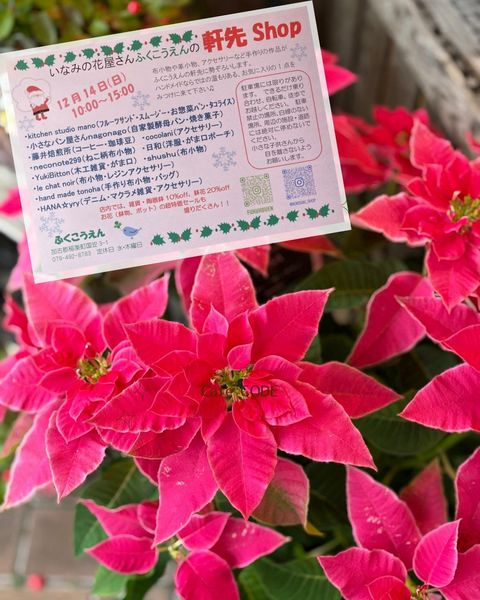Fukukou-En ~ふくこうえん~ | LINE Official Account