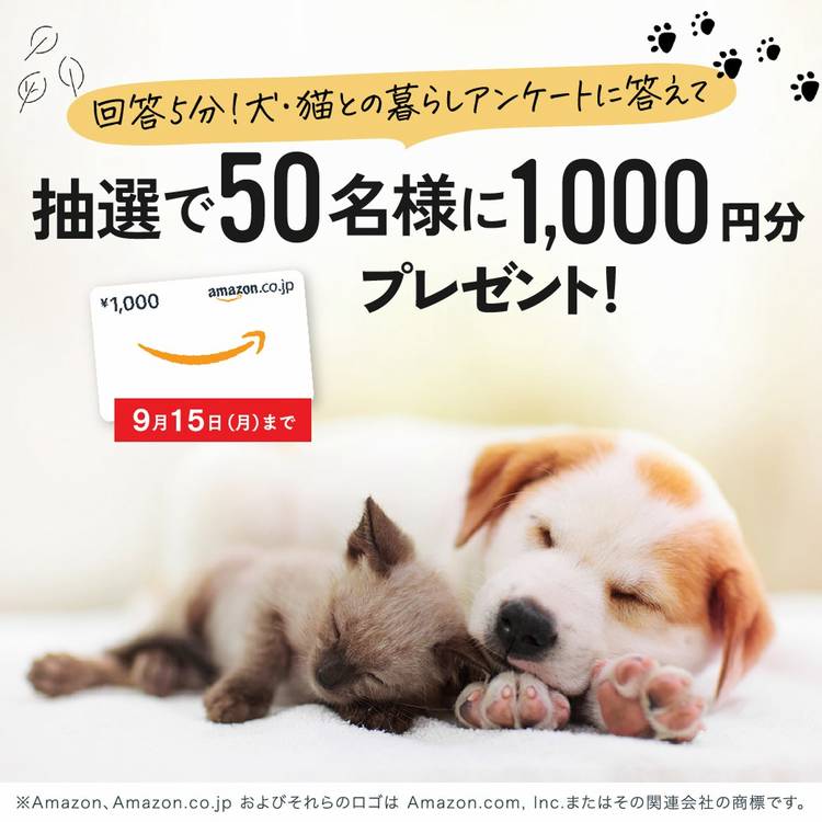 Mixed media feed | 一条工務店 | LINE Official Account