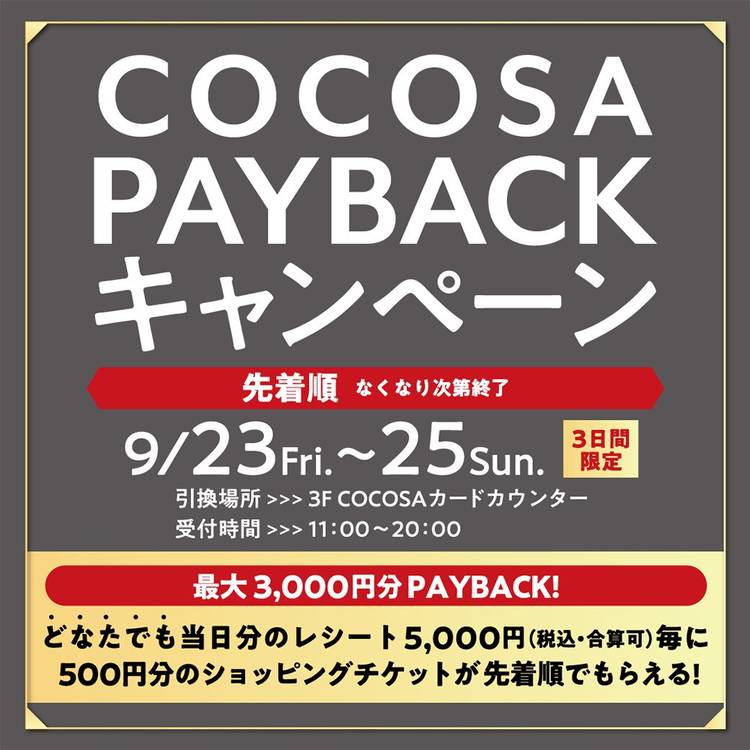 COCO様おまとめ購入専用ページ COCOCELUX GOLD ﾍﾗｸﾚｽGOLDｼｭﾘﾝｸ ｽﾏｰﾄﾌｫﾝﾎﾟｹｯﾄ付 2WAYﾎﾟｼｪｯﾄ