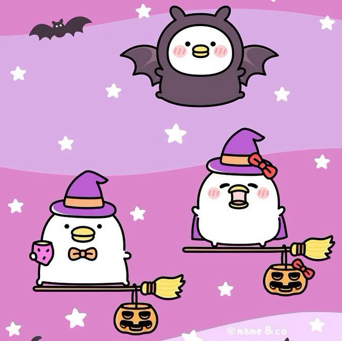 Mixed media feed | mame&co | LINE Official Account