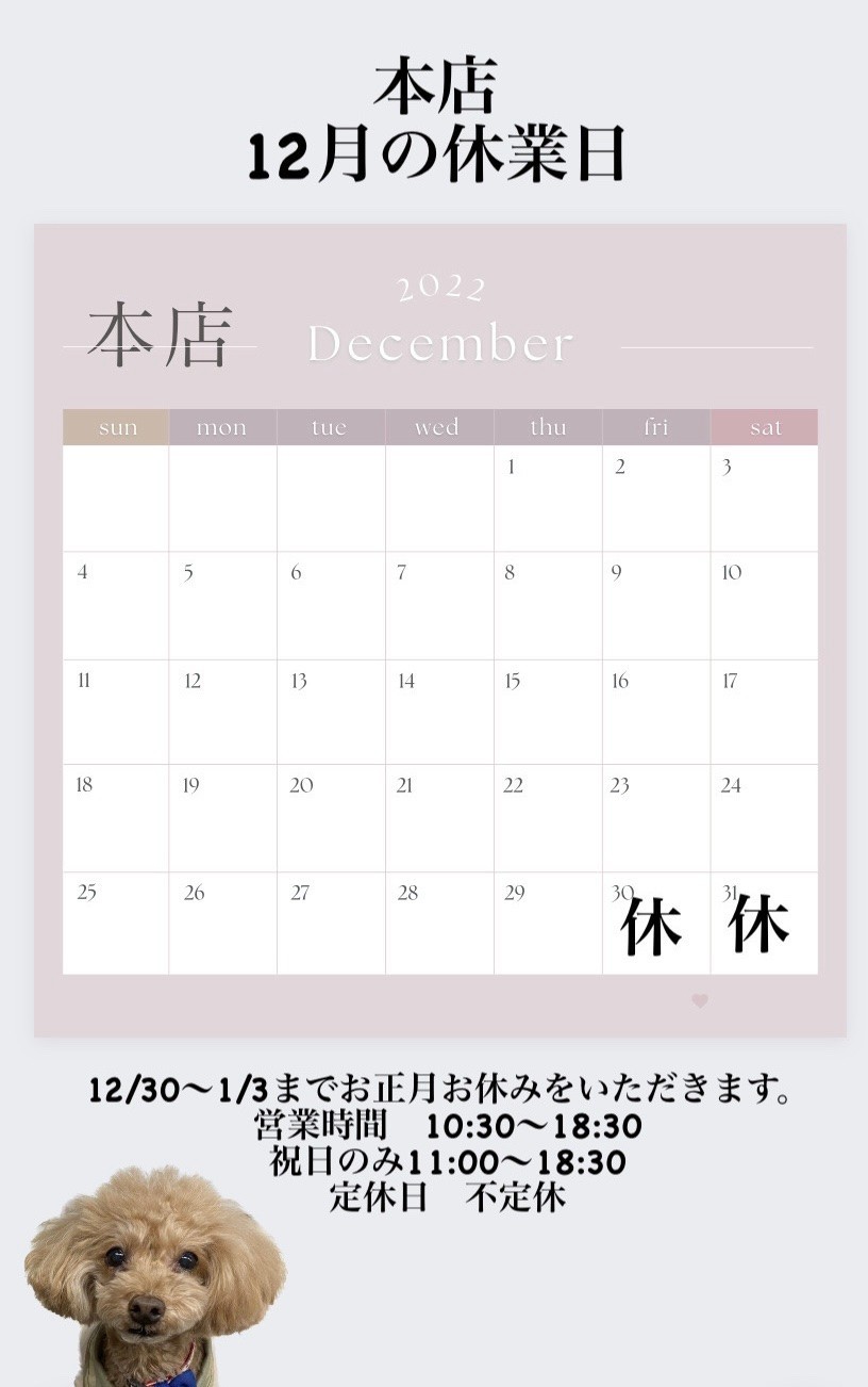 ANZUDOG あんずドッグ | LINE Official Account