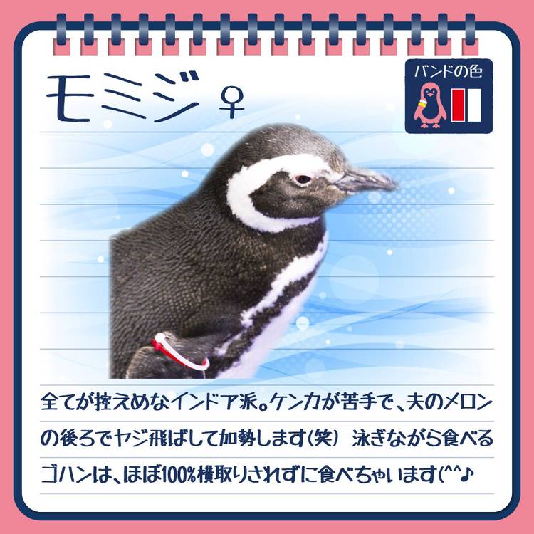 Mixed media feed | すみだ水族館 | LINE Official Account