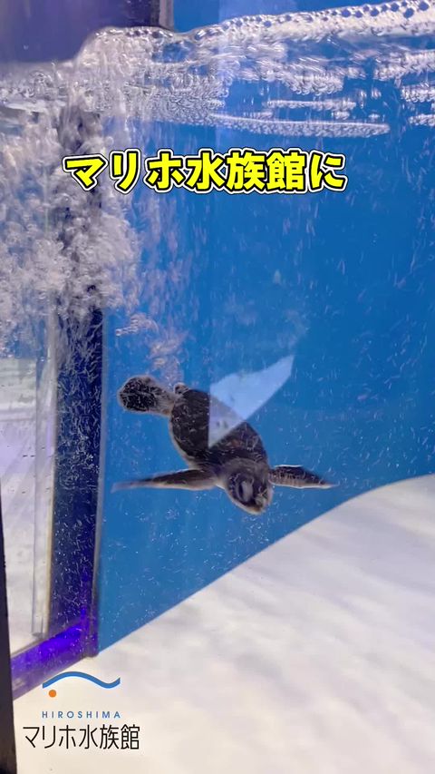 広島マリーナホップ | LINE Official Account