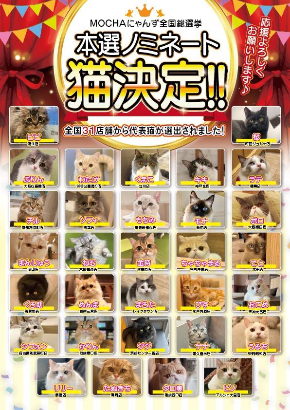 Mixed media feed | 猫カフェMOCHA 宮崎橘通店 | LINE Official Account