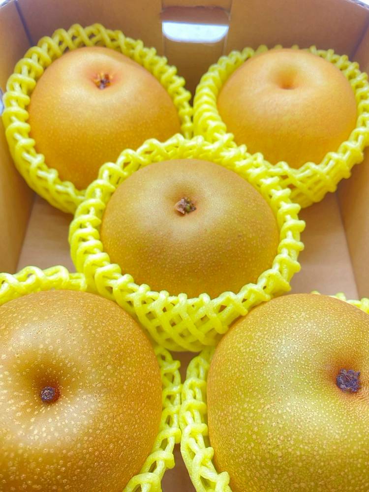 Mixed media feed | おたちゅう新潟黒埼店 | LINE Official Account