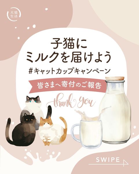 犬猫生活 | LINE Official Account