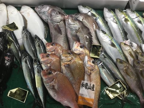 魚問屋 株式会社 | LINE Official Account