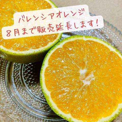 みかんのみっちゃん農園 | LINE Official Account