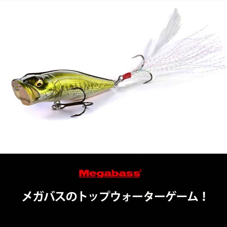Megabass - whyvernnさん専用❣️ Mixed media feed | メガバスオンラインショップ | LINE