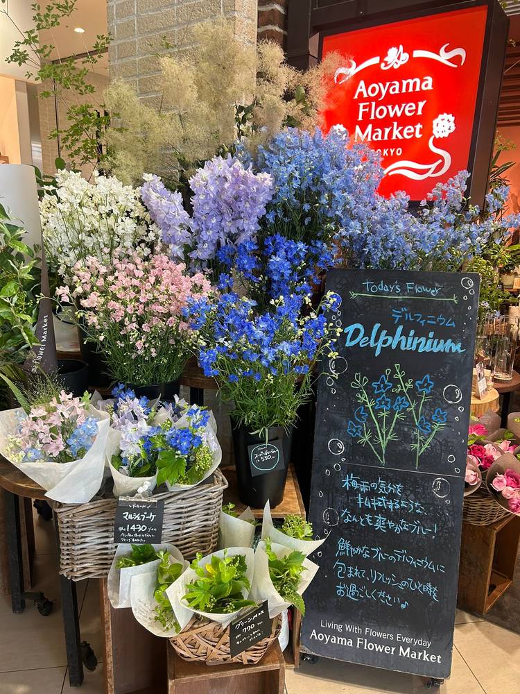 【コメントからご購入】B8 ましかくバインダー 2400円❁ お花 Mixed media feed | 青山フラワーマーケット 御影クラッセ店 | LINE