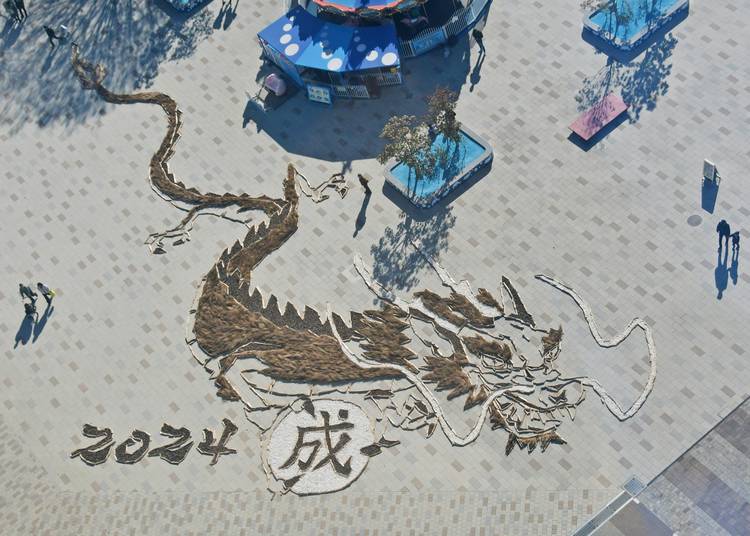 Mixed media feed | 国営ひたち海浜公園 | LINE Official Account