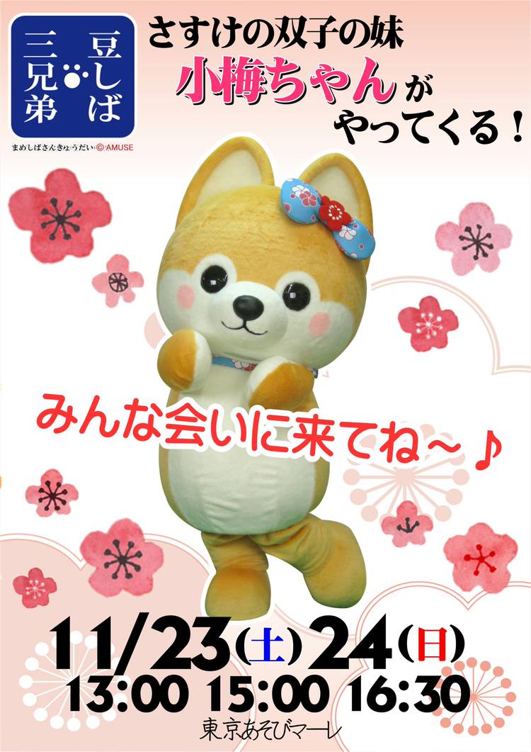 こうめちゃんさんへ