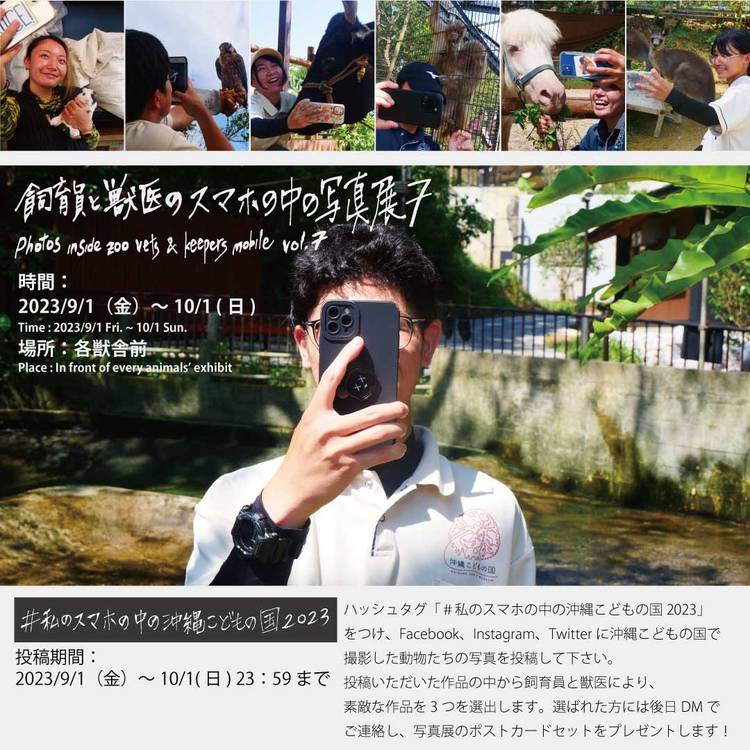 Mixed media feed | 沖縄こどもの国 Okinawa zoo | LINE Official Account