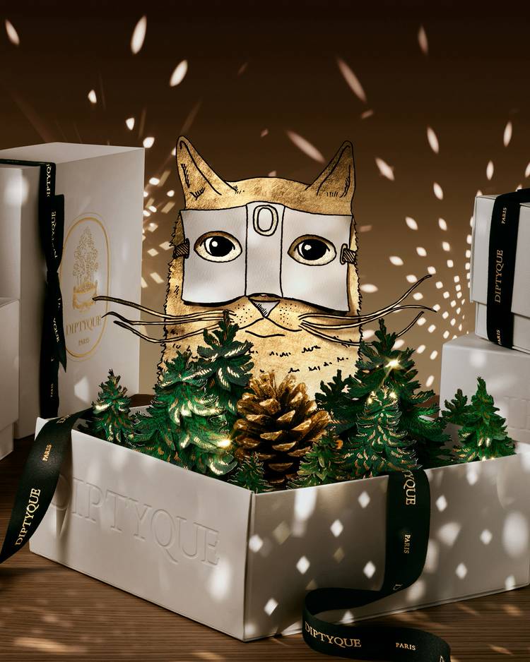 Diptyque エミュルション ヴルール & ソリューション セット Diptyque エミュルション ヴルール & ソリューション セット