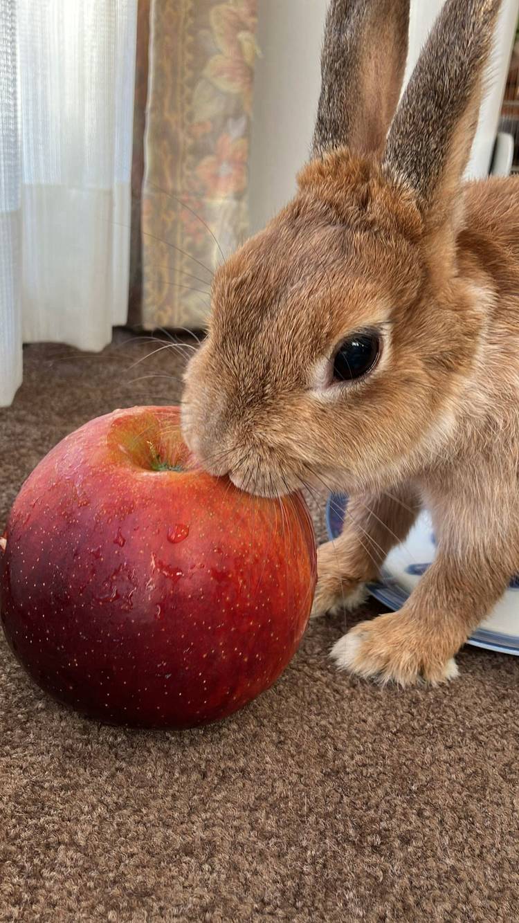 Mixed media feed | ココロのおうち | LINE Official Account