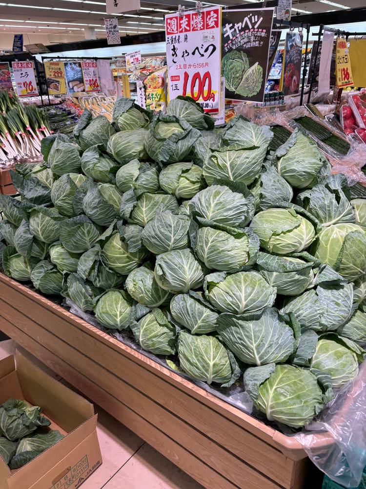 Mixed media feed | ベーシック島崎店 | LINE Official Account