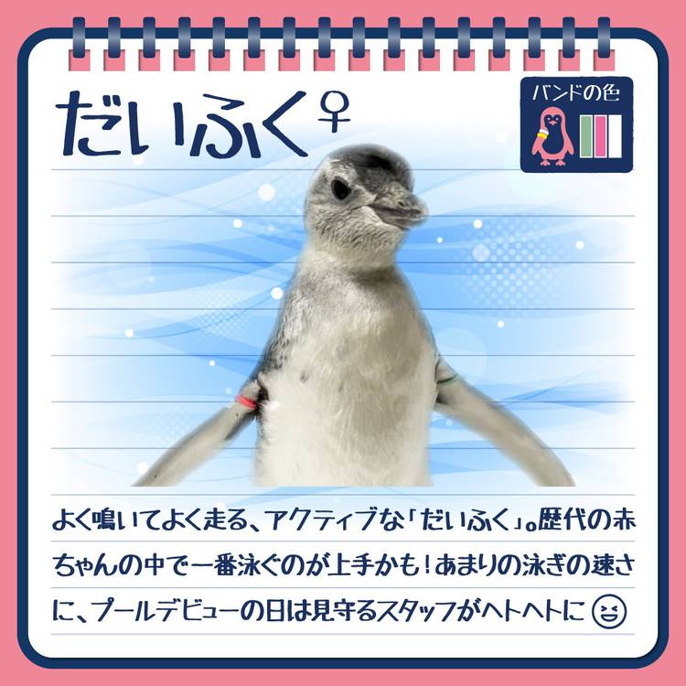 Mixed media feed | すみだ水族館 | LINE Official Account