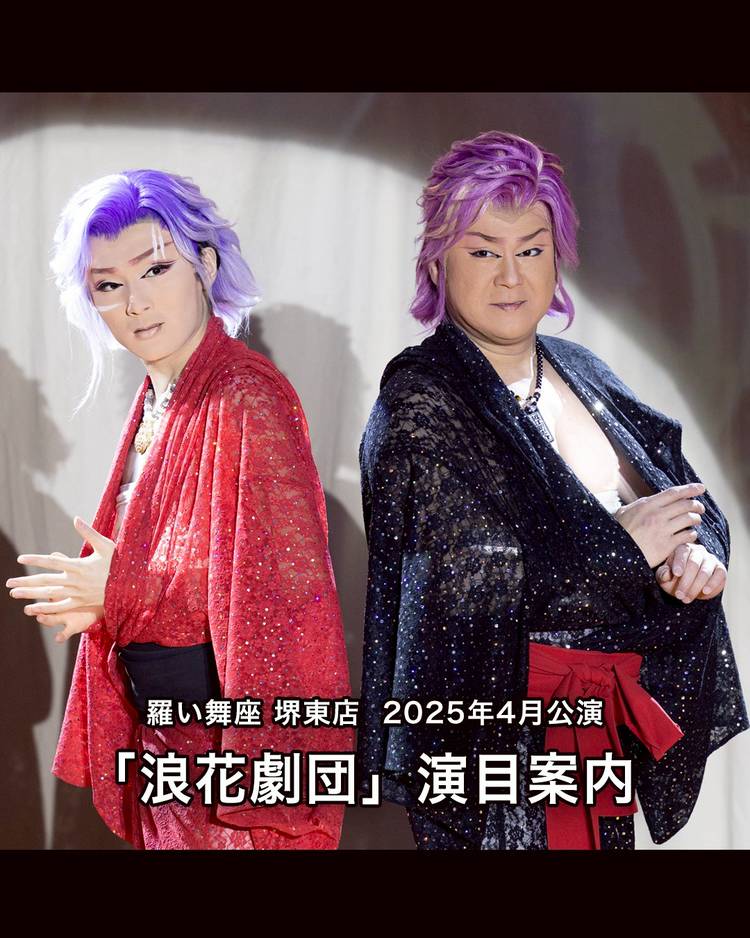 大衆演劇 鬘 ブラウン （大衆演劇かつら 日本舞踊 演劇）