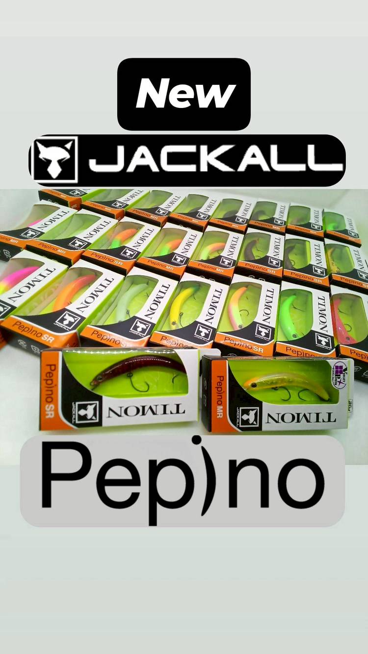 ☆かめかわページ☆ Mixed media feed | かめや釣具 平塚店 | LINE Official Account