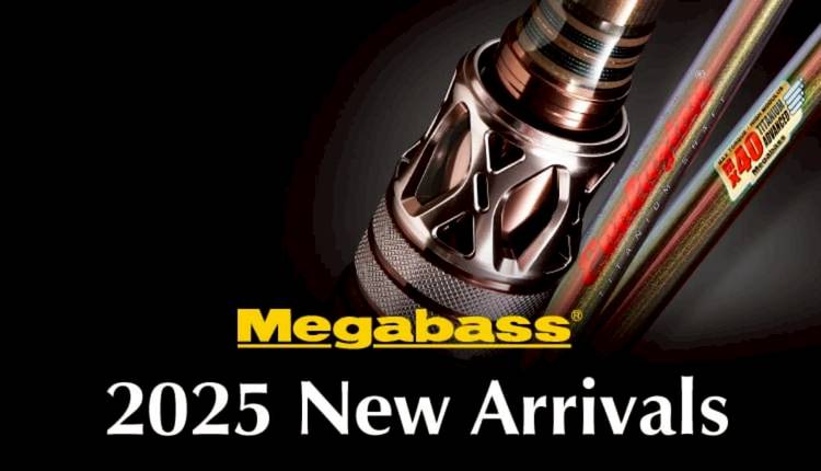 Mixed media feed | メガバスオンラインショップ | LINE Official Account