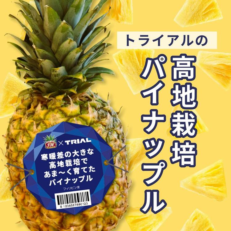 ノビルン パイナップル 5袋 【公式通販】