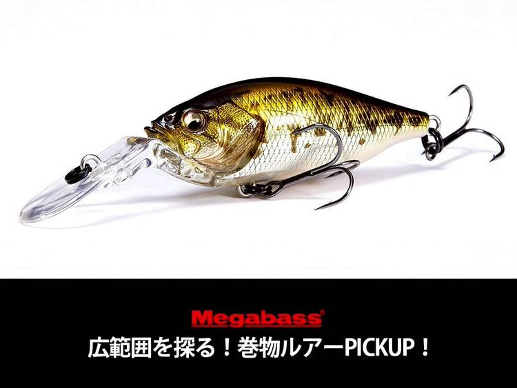 Mixed media feed | メガバスオンラインショップ | LINE Official Account