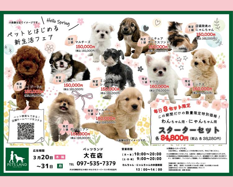 Mixed media feed | HIヒロセ スーパーコンボ大在店 | LINE Official