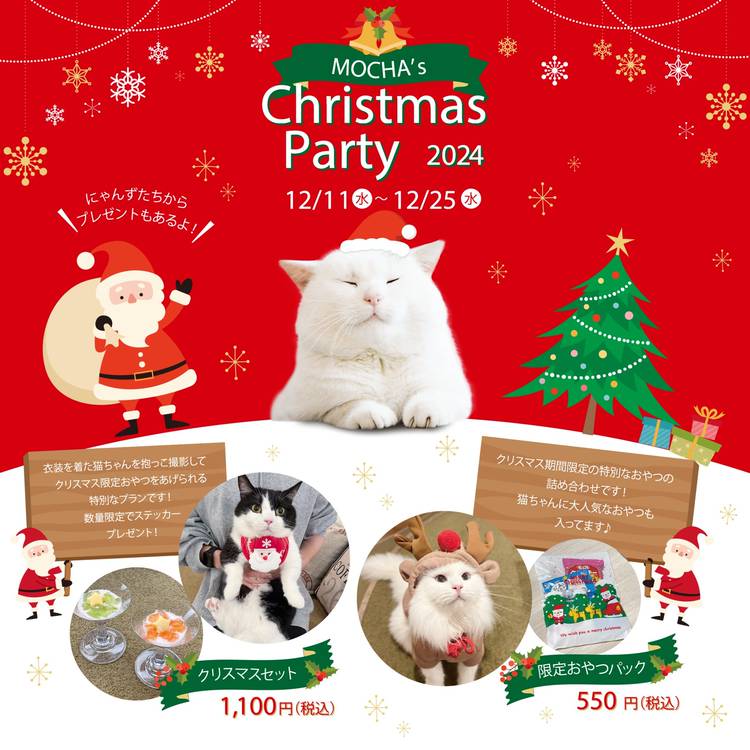 Mixed media feed | 猫カフェMOCHA 宮崎橘通店 | LINE Official Account