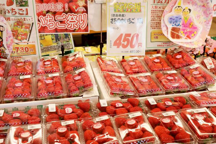 Mixed media feed | キョーエイ | LINE Official Account