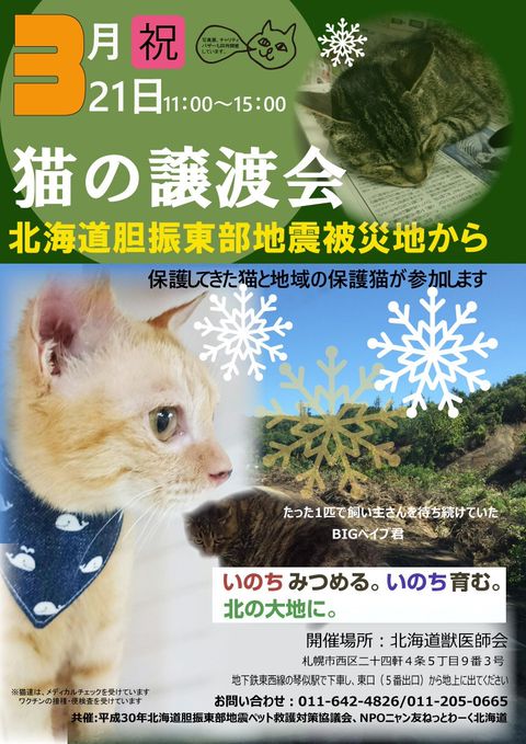 高橋動物病院 | LINE Official Account