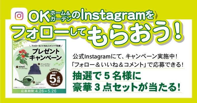 Mixed media feed | OKホーム＆ガーデン 深堀店 | LINE Official Account