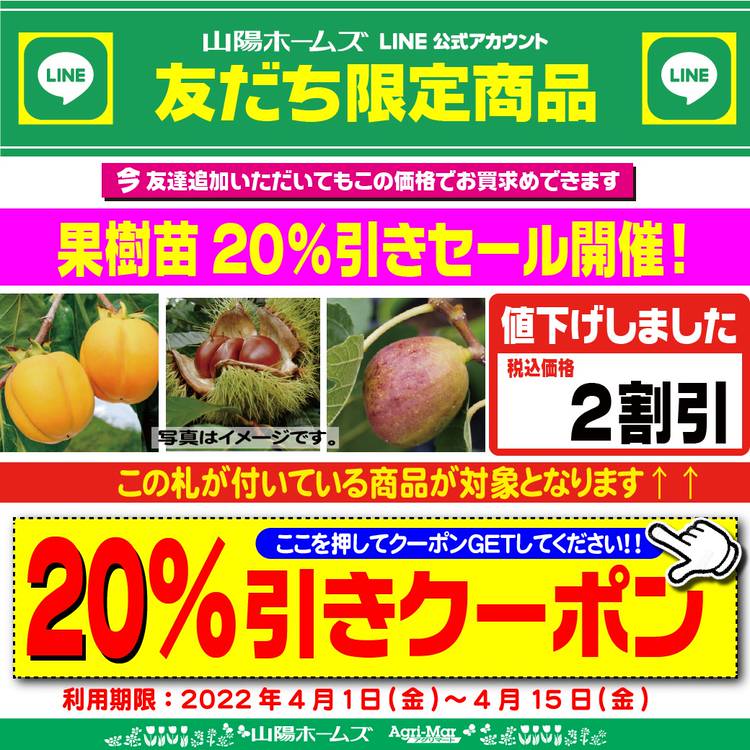 Mixed media feed | 山陽ホームズ | LINE Official Account