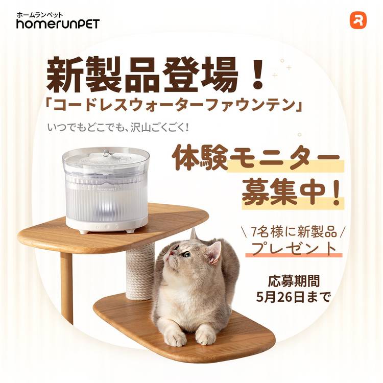 Mixed media feed | Homerunpet Japan | LINE Official Account