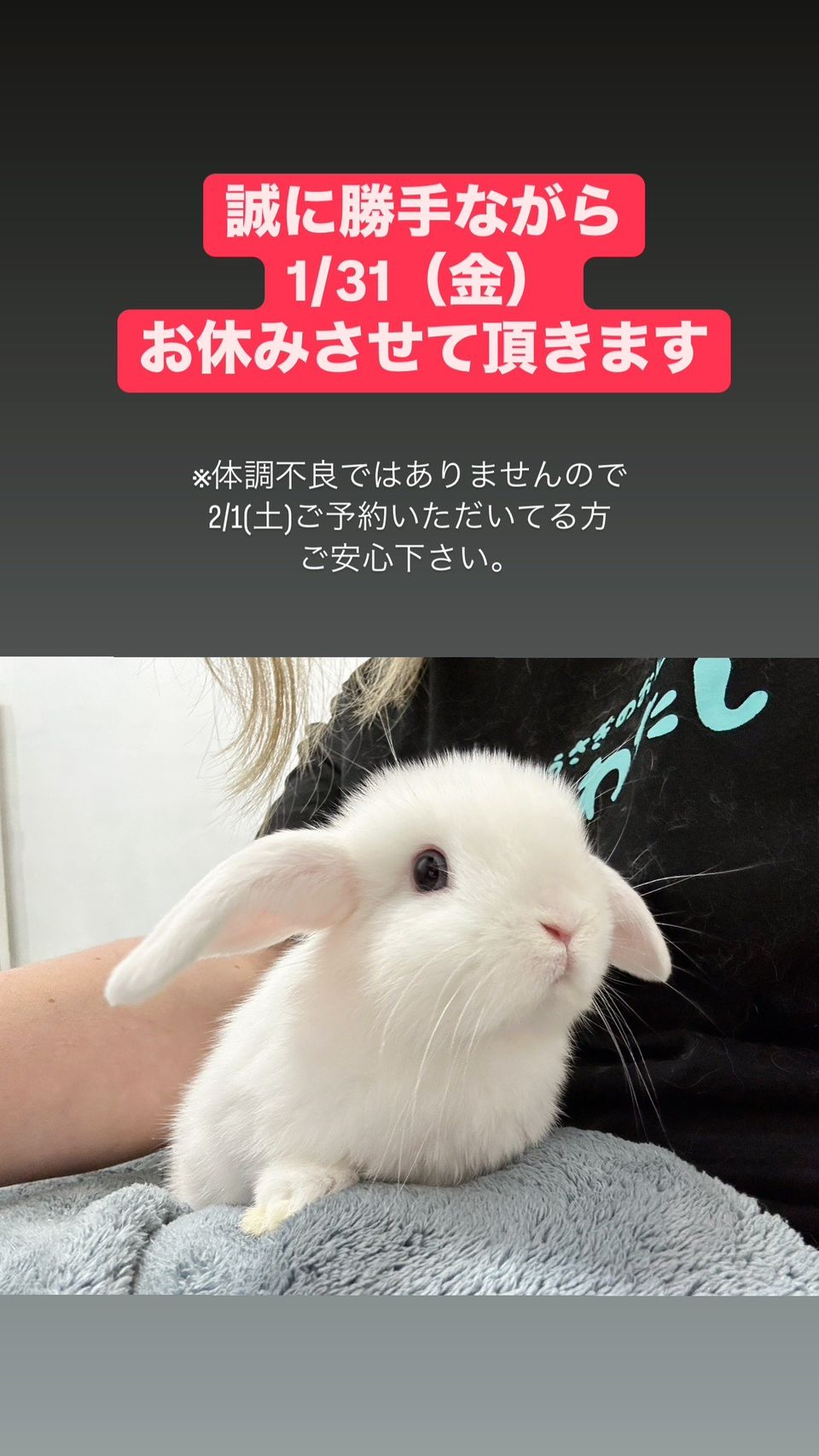 うさぎとわたし大阪本店 | LINE Official Account