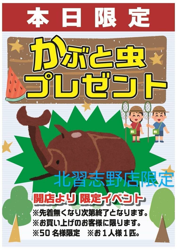 Mixed media feed | マロンド | LINE Official Account