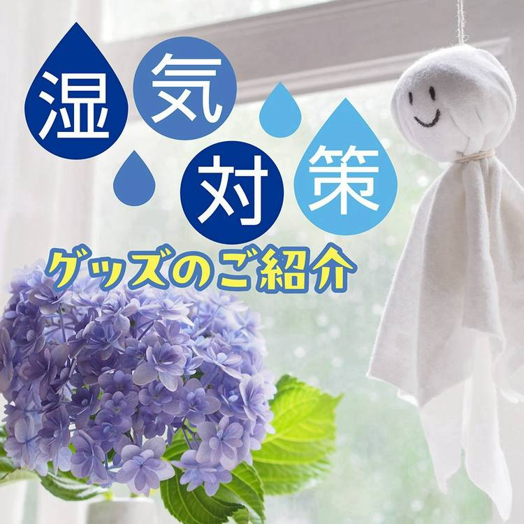Mixed media feed | TRIAL -トライアル- | LINE Official Account