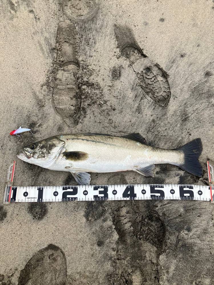 Mixed media feed | トビヌケ原町店 | LINE Official Account