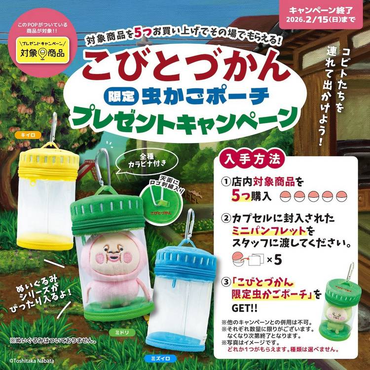 Mixed media feed | こびとづかん -こびと研究室- | LINE Official Account