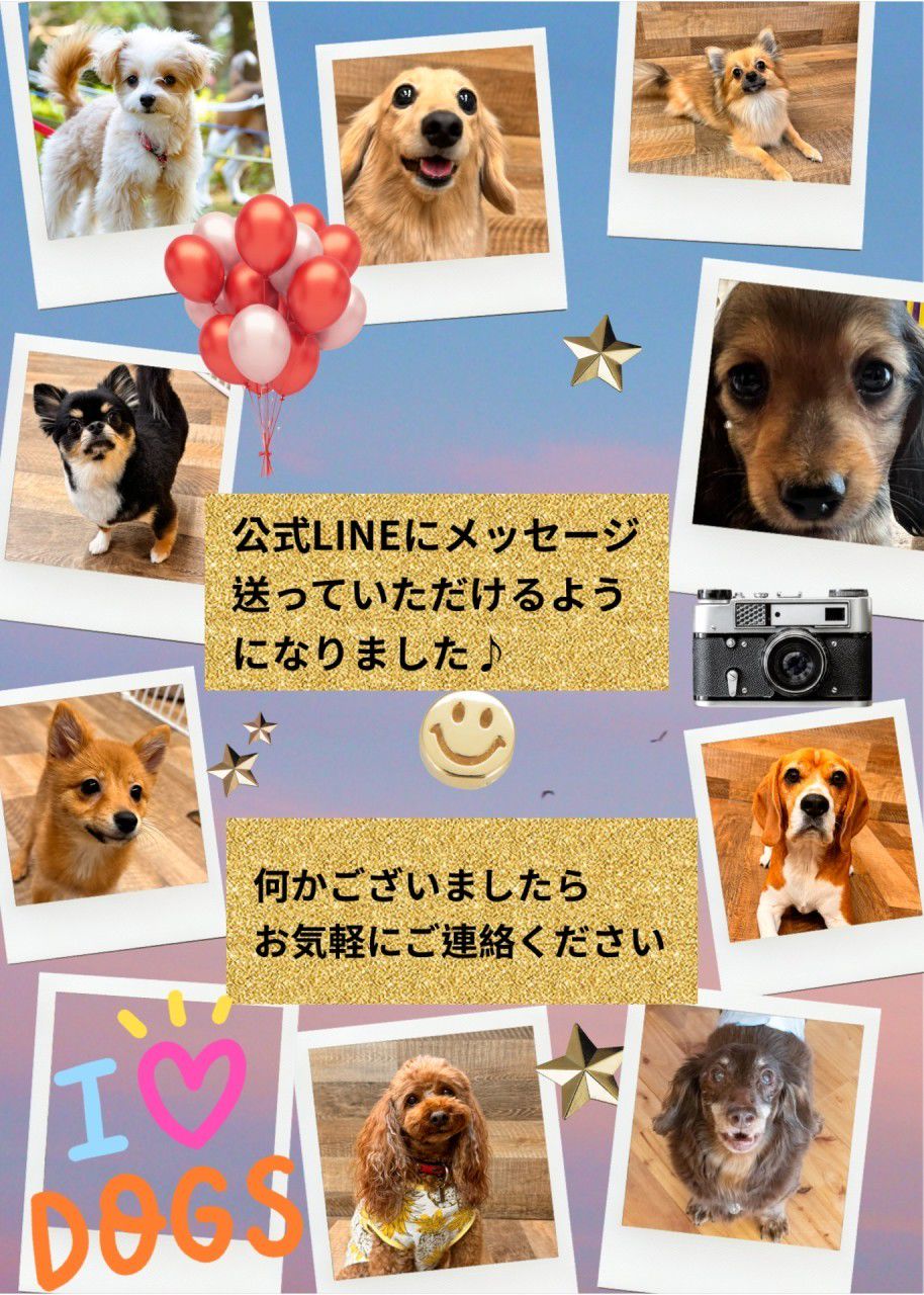 Le Lien | LINE Official Account