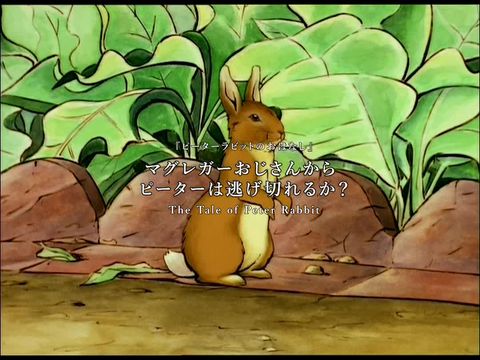 ピーターラビット™ 日本公式 | LINE Official Account