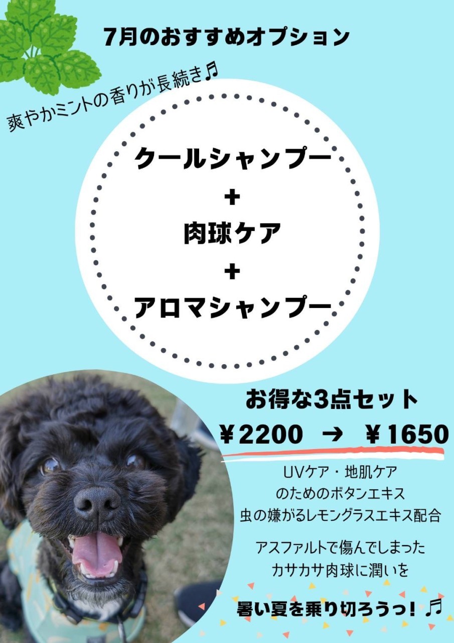 専用ページ♡ 私だけが楽しいアイドルパロ〜蜂楽編〜 #ブルーロックfa #ブルー