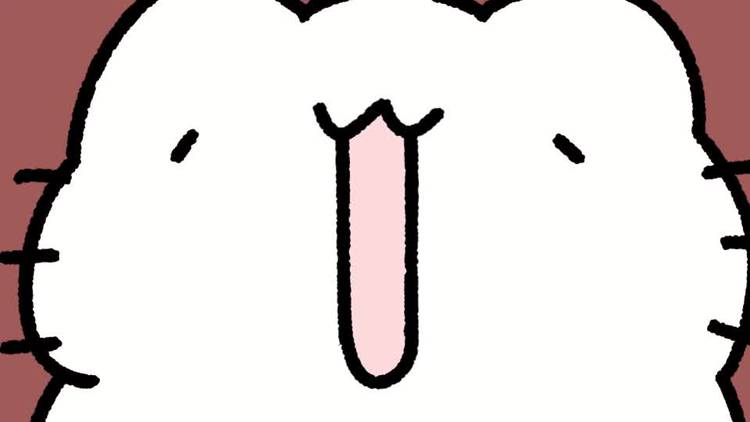 Mixed media feed | からめる | LINE Official Account