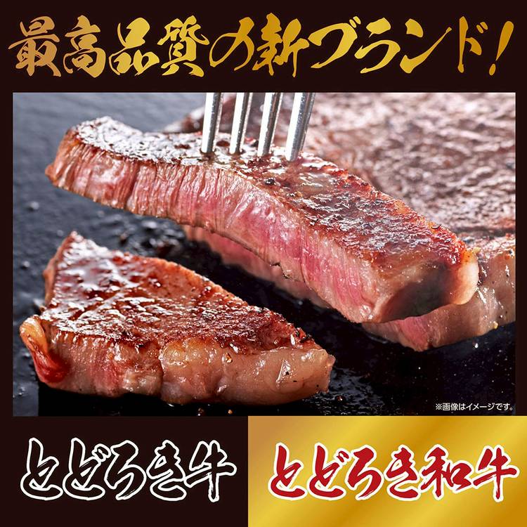 Mixed media feed | TRIAL -トライアル- | LINE Official Account
