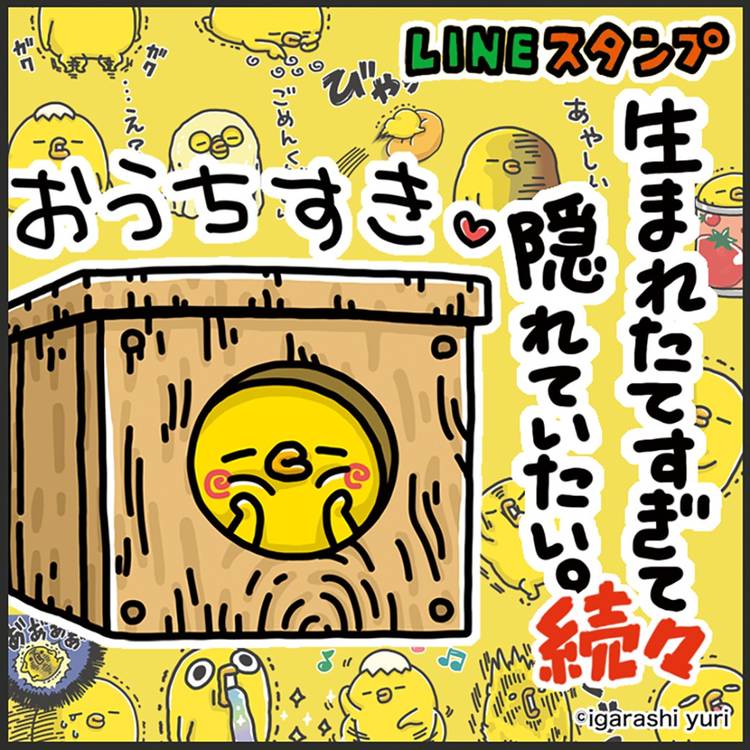Mixed media feed | igarashi yuri | LINE Official Account