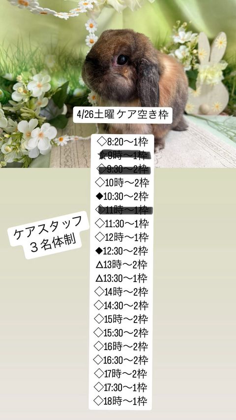うさぎ専門店 DAN'S HOUSE | LINE Official Account