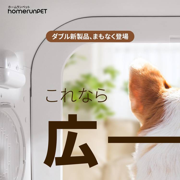 Mixed media feed | Homerunpet Japan | LINE Official Account