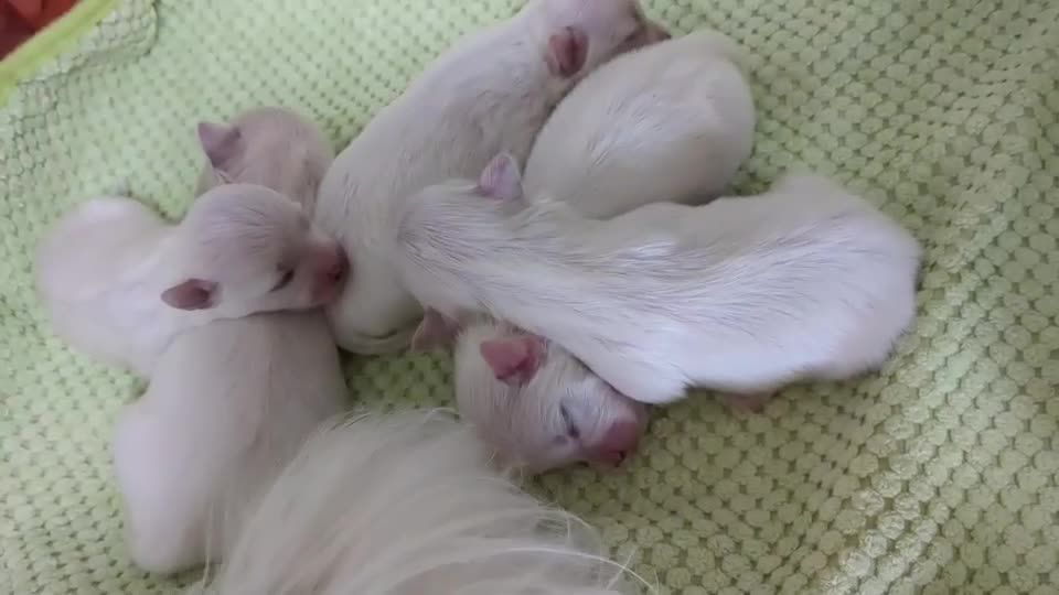 いちご様連絡ページ お問い合わせ | SEEN BETTER DAYS 